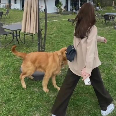 女儿河